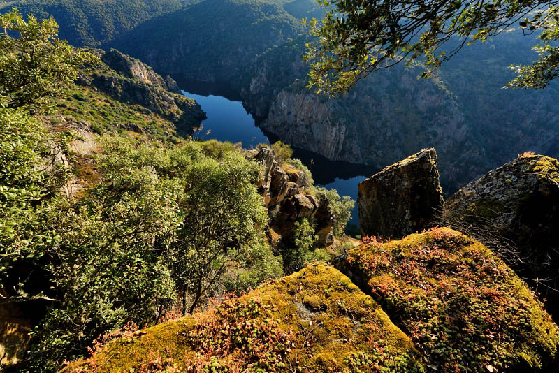 Pedra Amarela, Douro River, Portugal