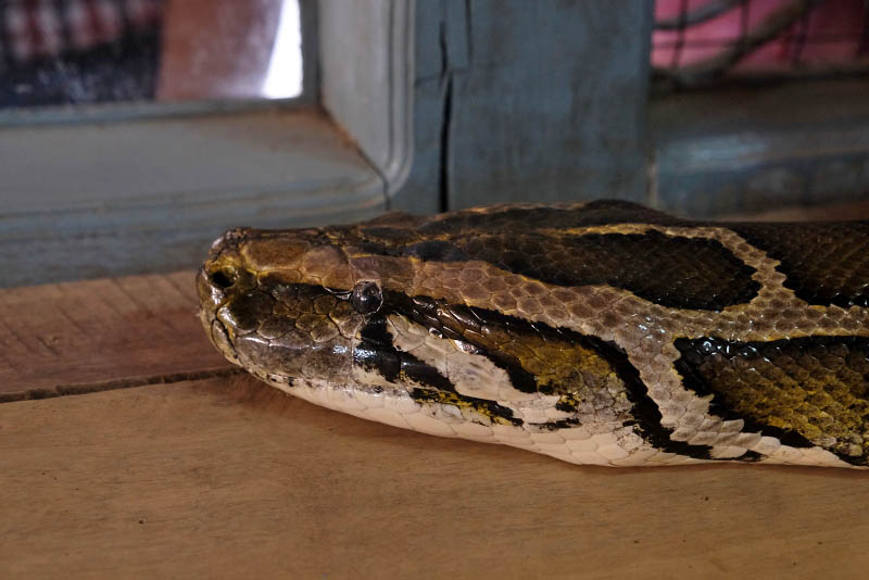 Bago, Snake Monastery