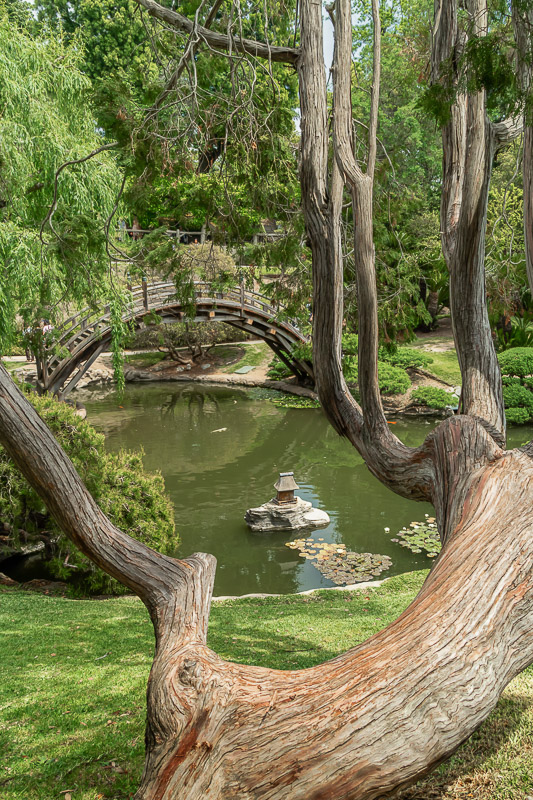Japanese Garden 5