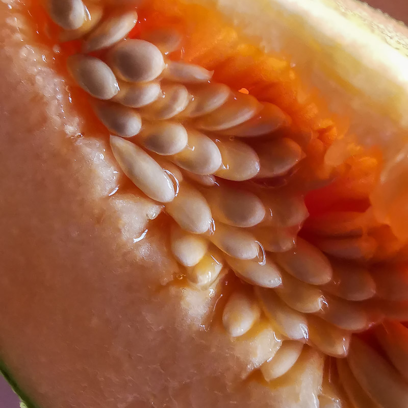 Juicy Cantaloupe