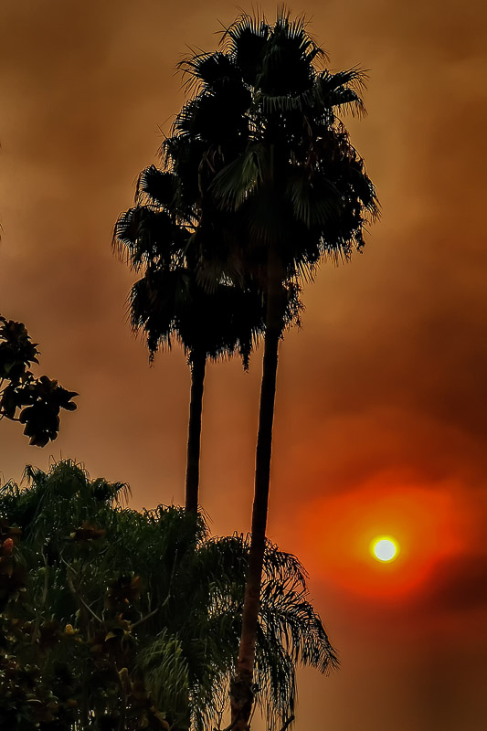 The Sun Ain't Gonna Shine (Anymore)