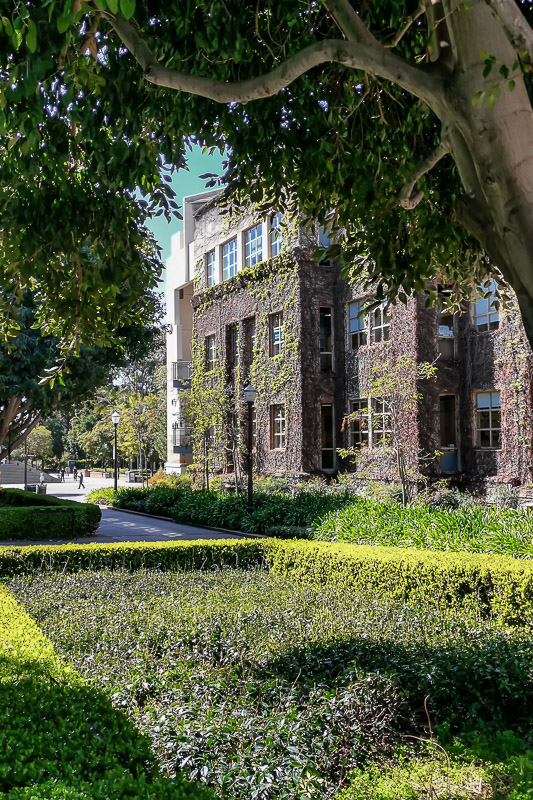 UCLA Campus 12