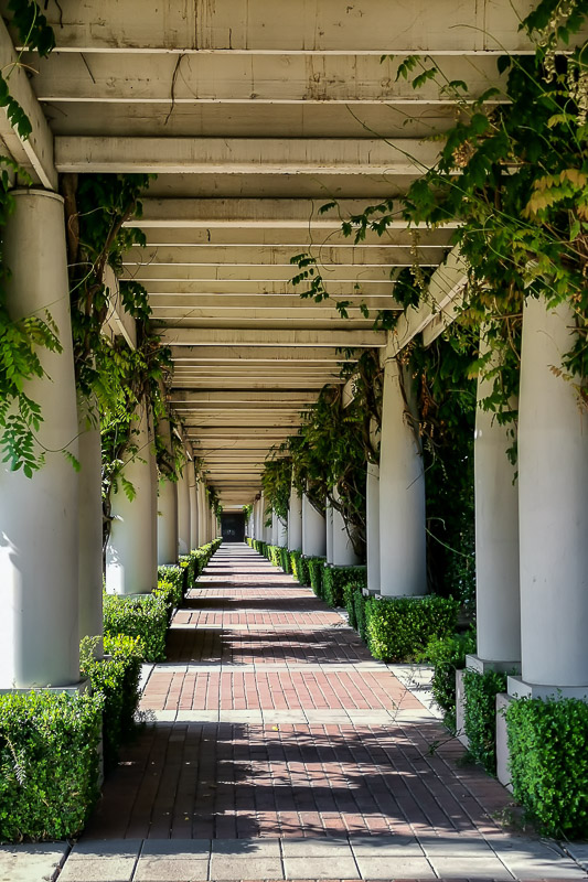 Long Corridor