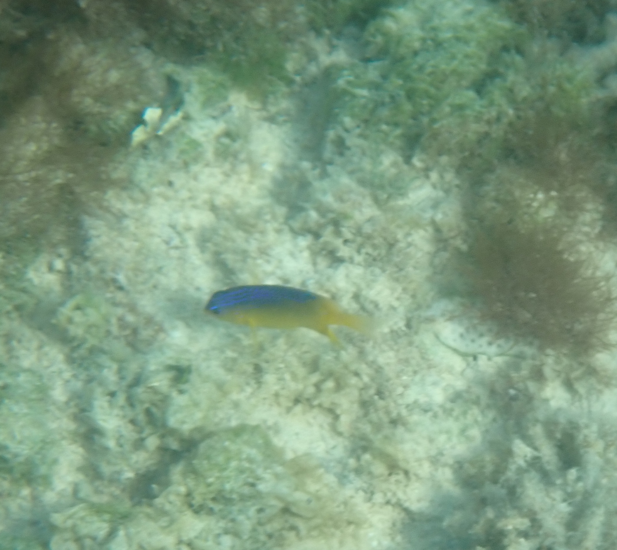 tulum 21.JPG