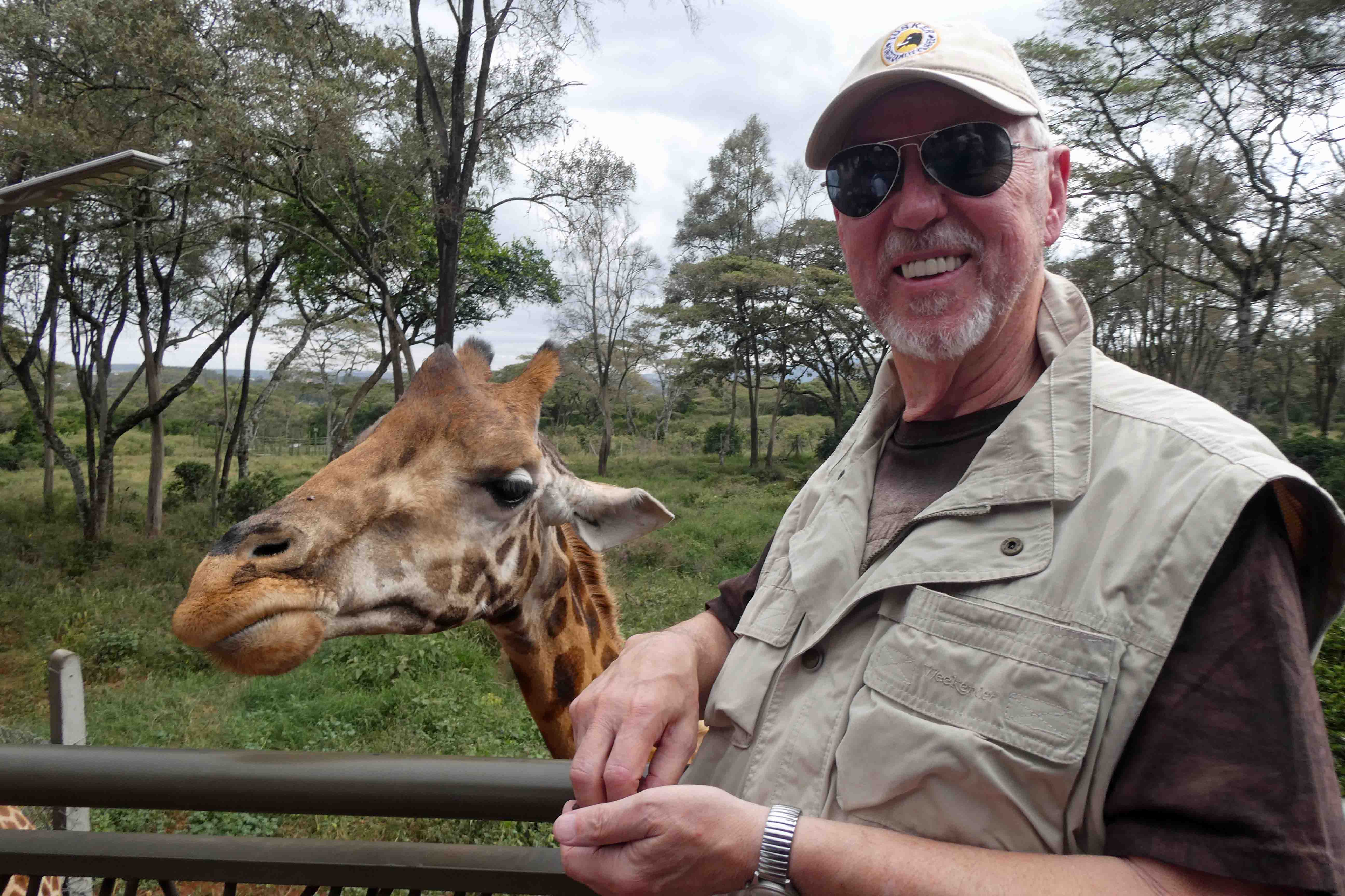 Good-looking Giraffe Profile