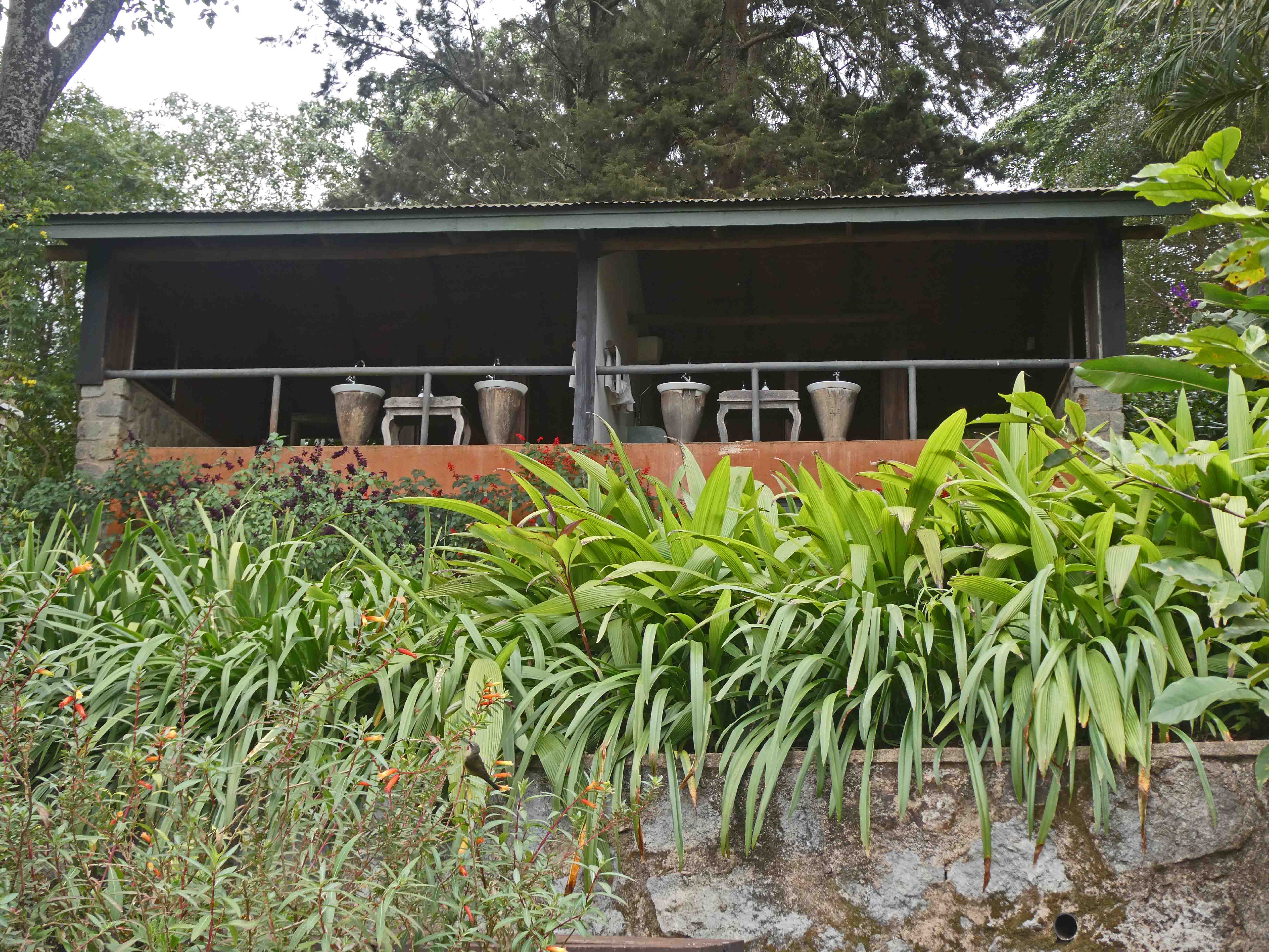 Restrooms viewed from below in Gibbs Farm
