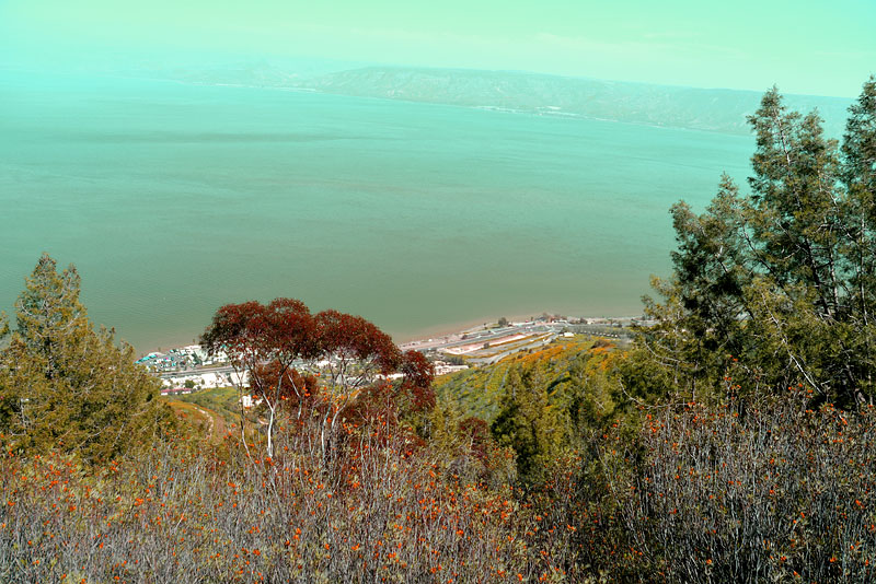 DSC_4388ab.jpg