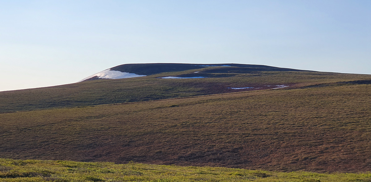 MP72 (Coffe Dome), Kougarok road, Nome