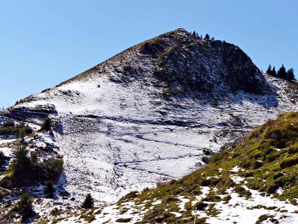 Schynige Platte