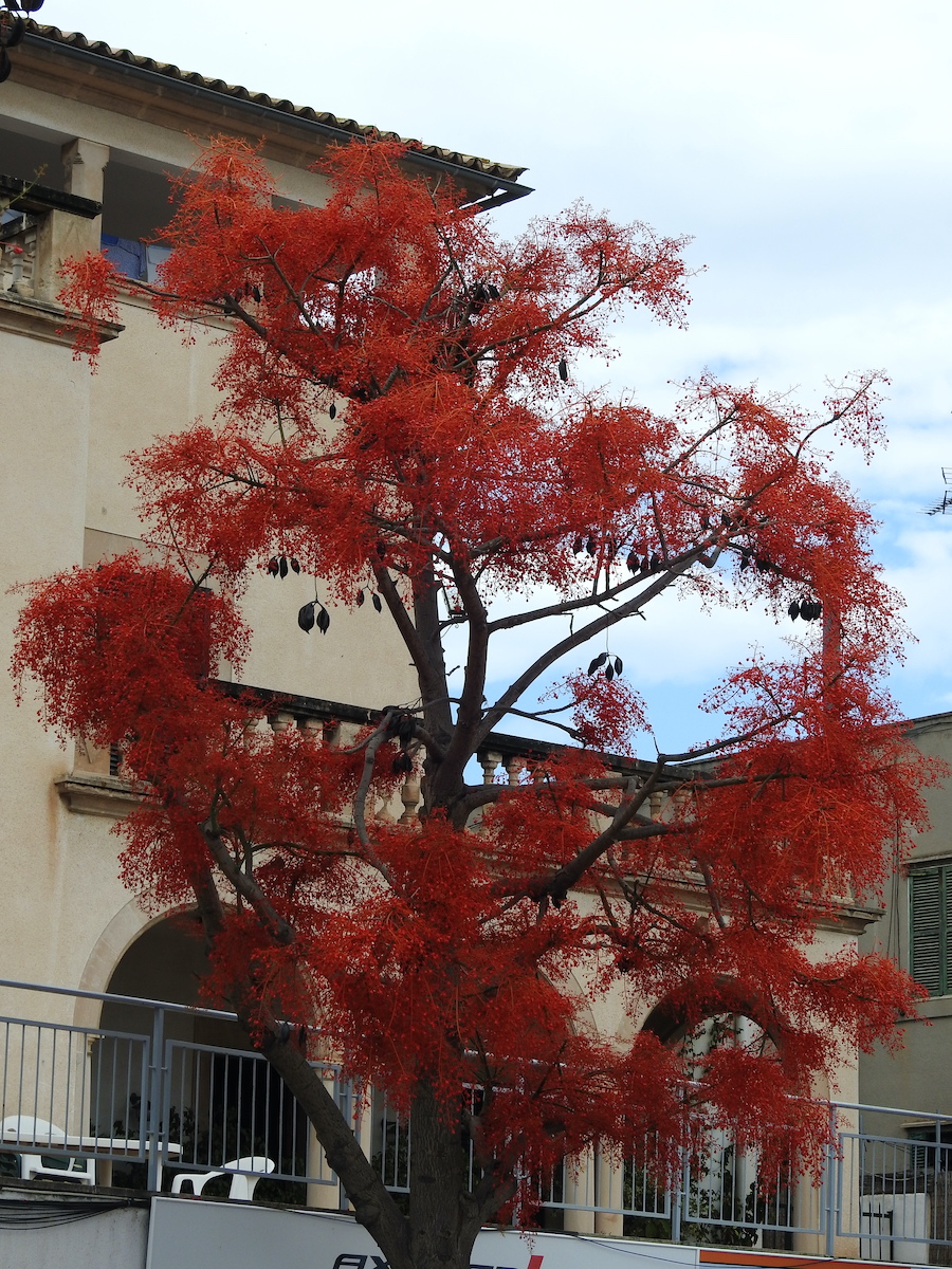 DSCN3697.JPG