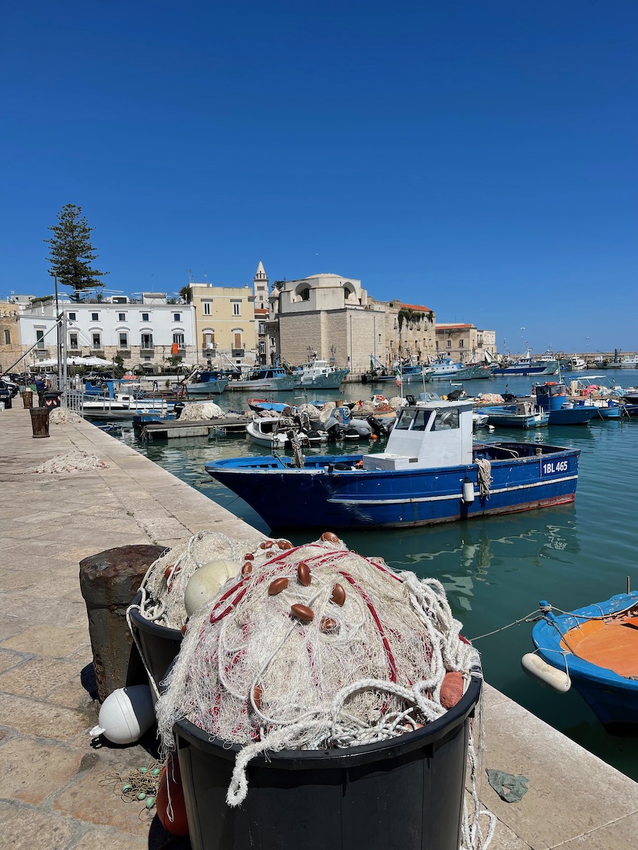 IMG_6453.jpeg