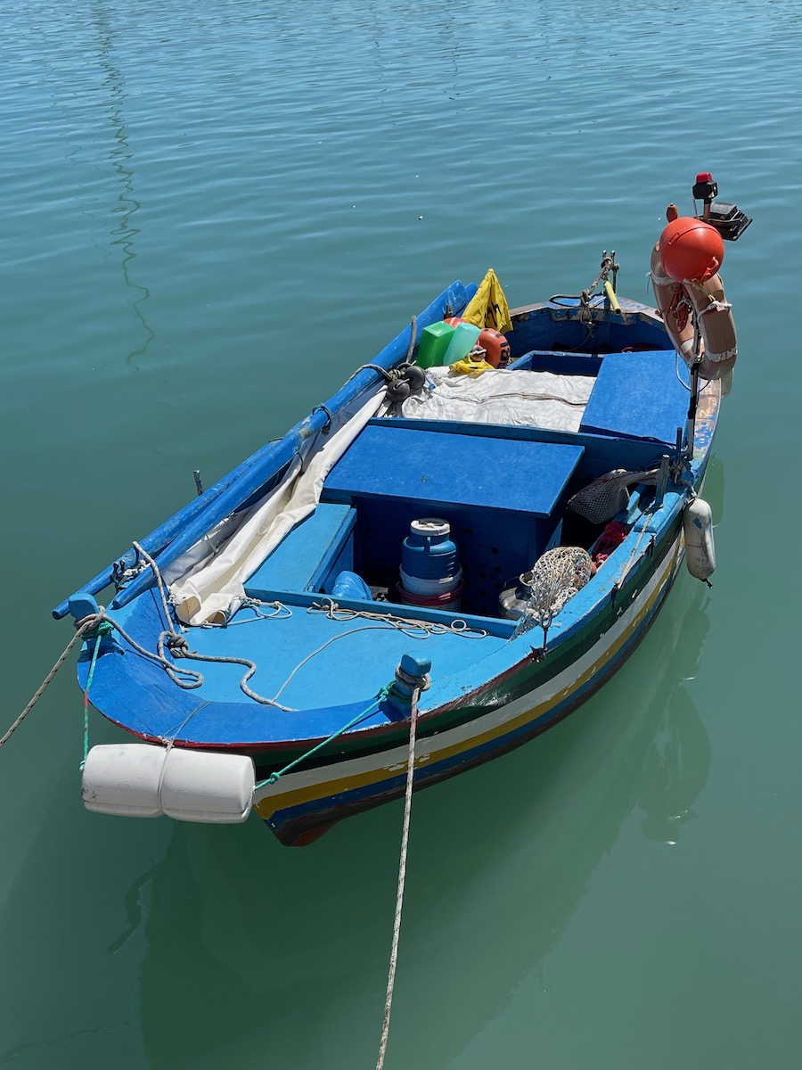 IMG_6456.jpeg