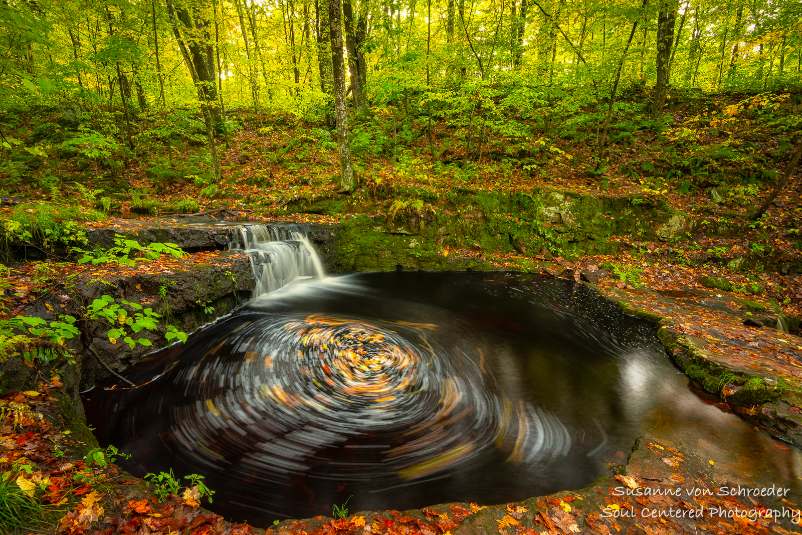 Swirling leaves, at Devils Kettle, Wisconsin