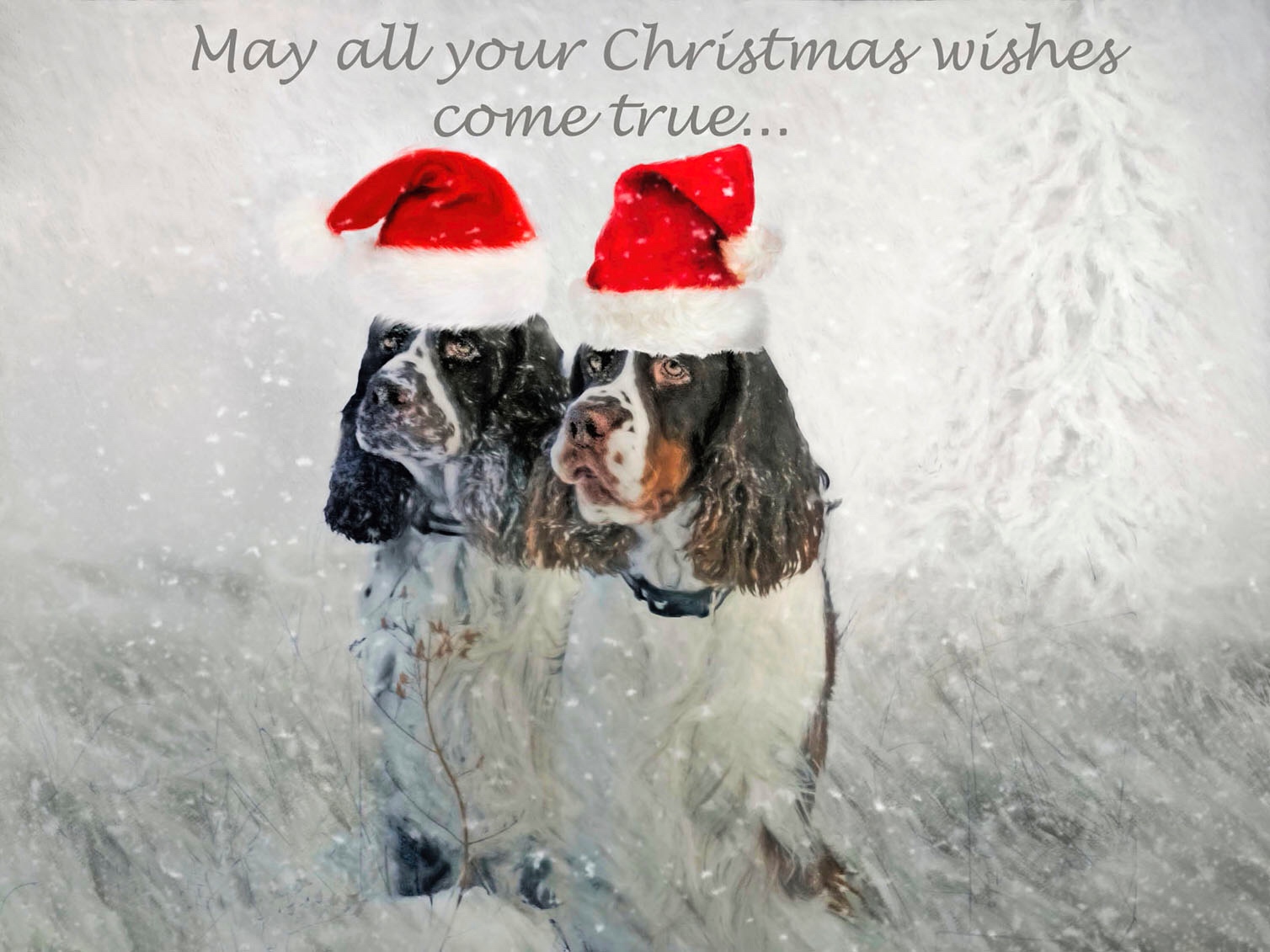 Merry Christmas ....