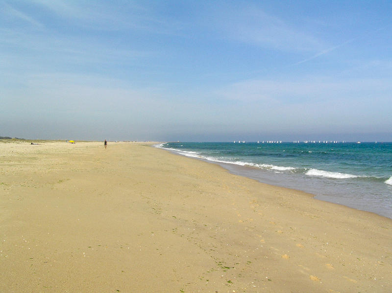 Ilha de Tavira