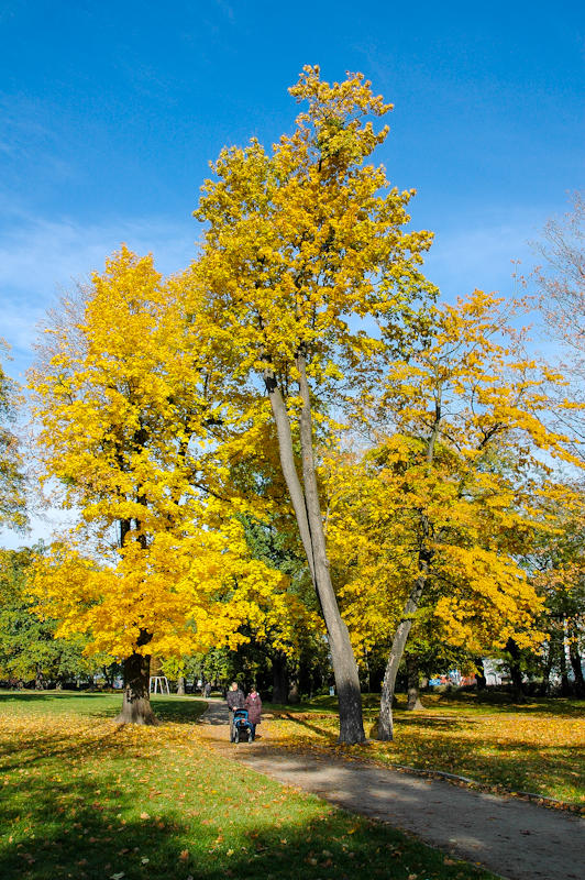 Park Klecinski, Wroclaw