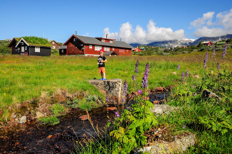 Aleksander, Hardangervidda