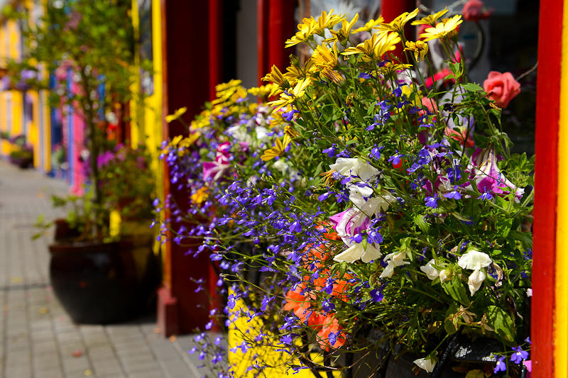Kinsale
