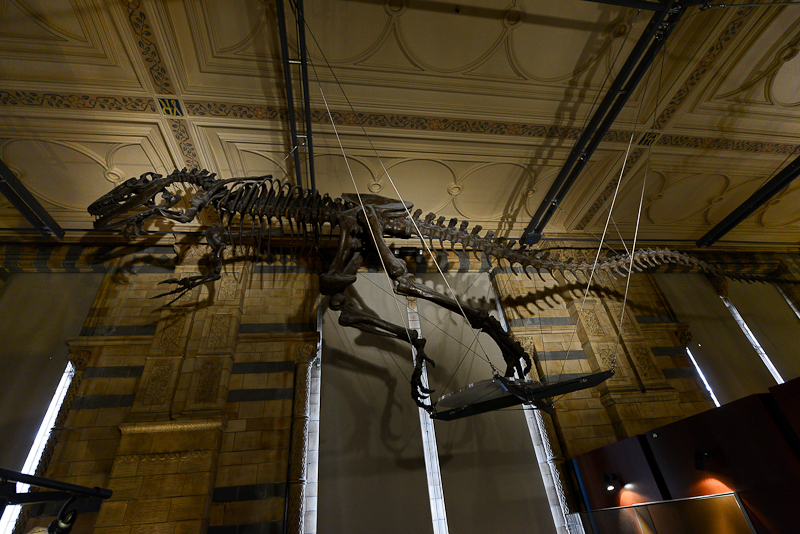 Natural History Museum, London