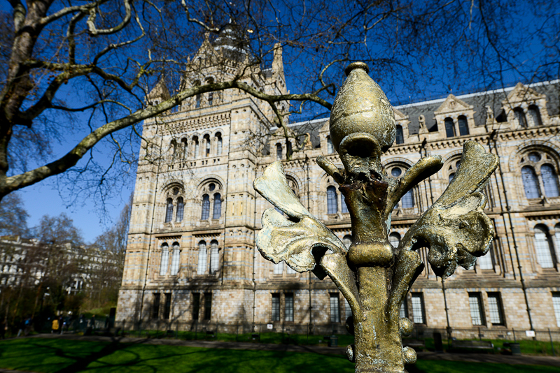 Natural History Museum, London