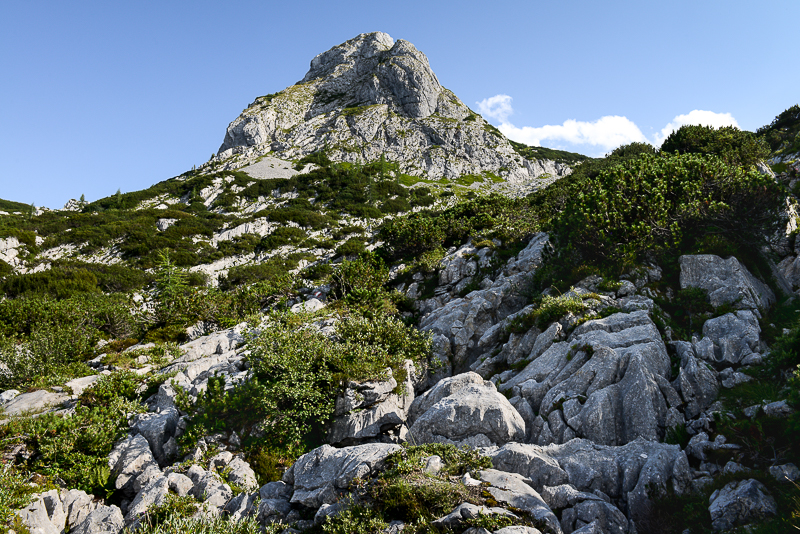 Dumelkogel 2001m, Krippenstein