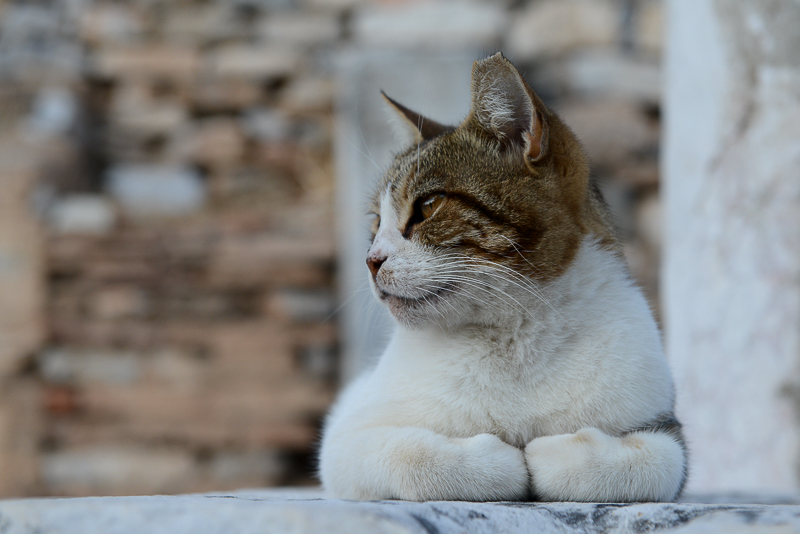 Ephesus
