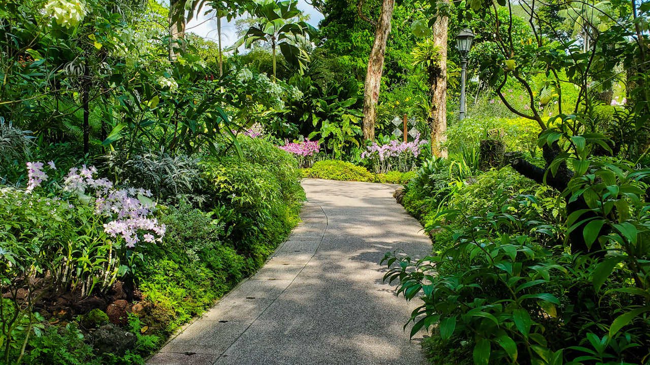 Singapore National Orchid Gardens 