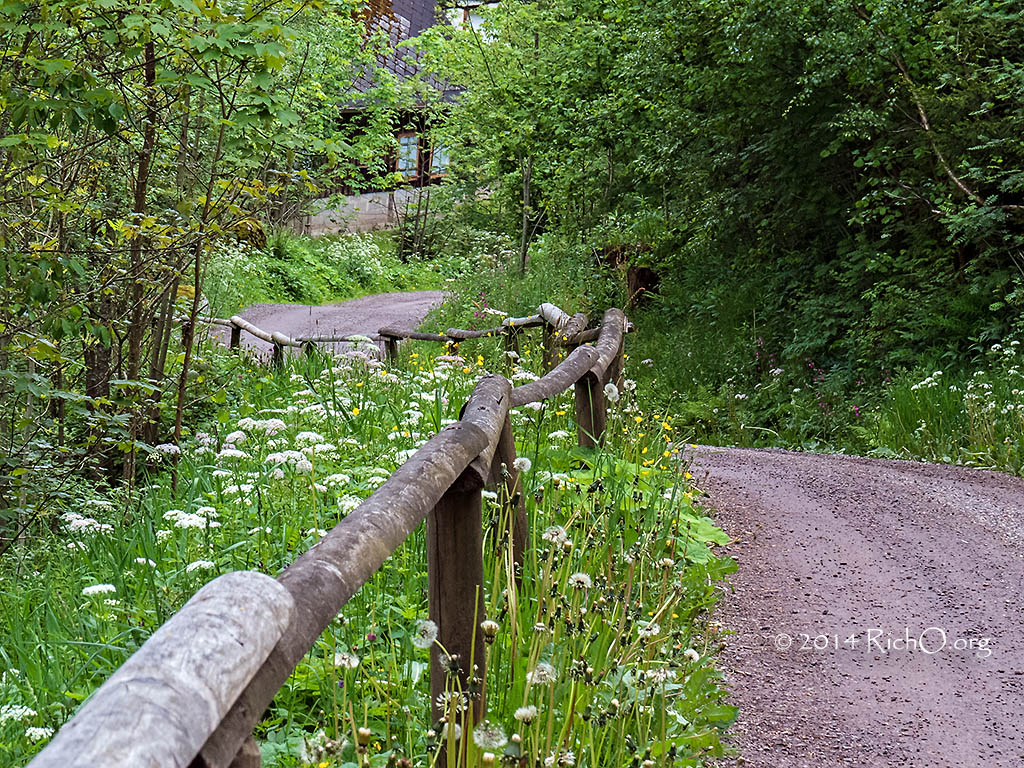 breitnau-forest-path