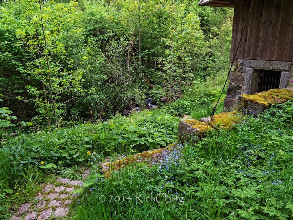 breitnau-wildflower-mill