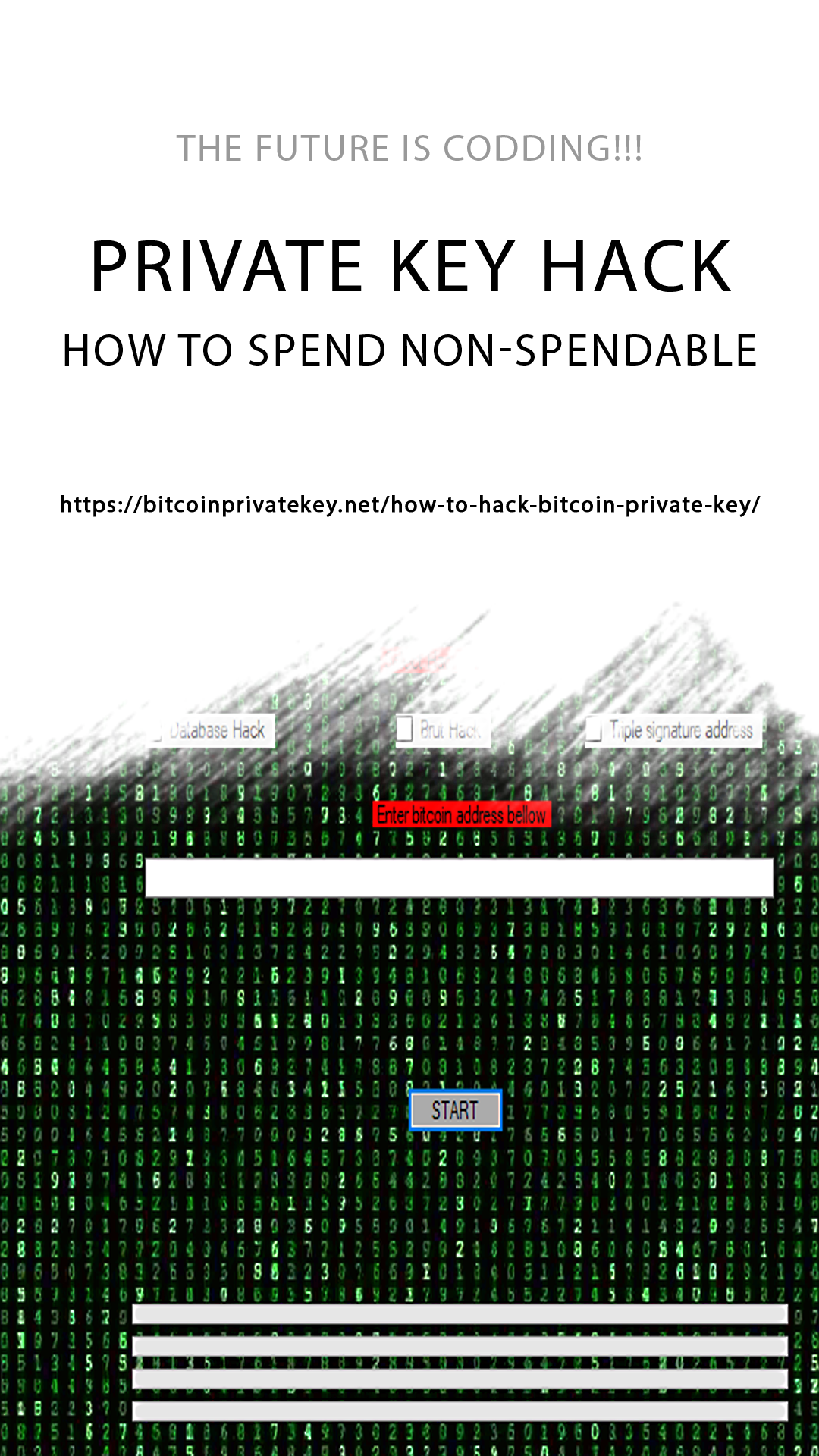 Bitcoinprivatekeydotnet (6).PNG