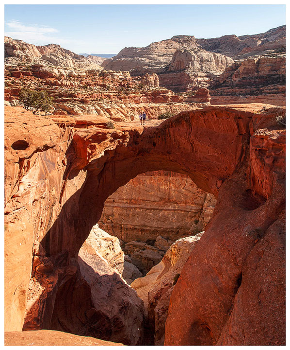 Cassidy Arch