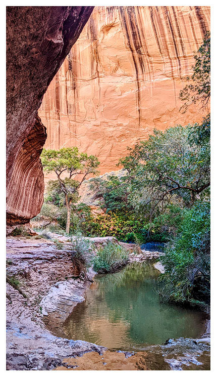 Willow Gulch