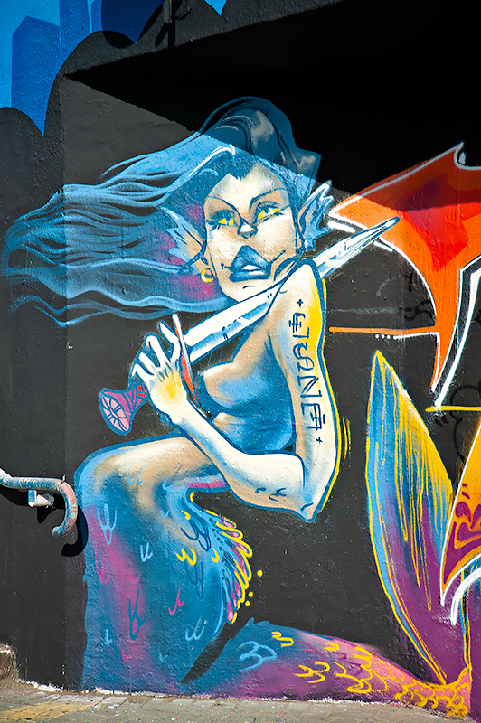 Mermaid With A Sword
