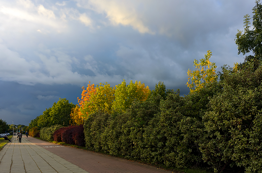 First Day Of Autumn