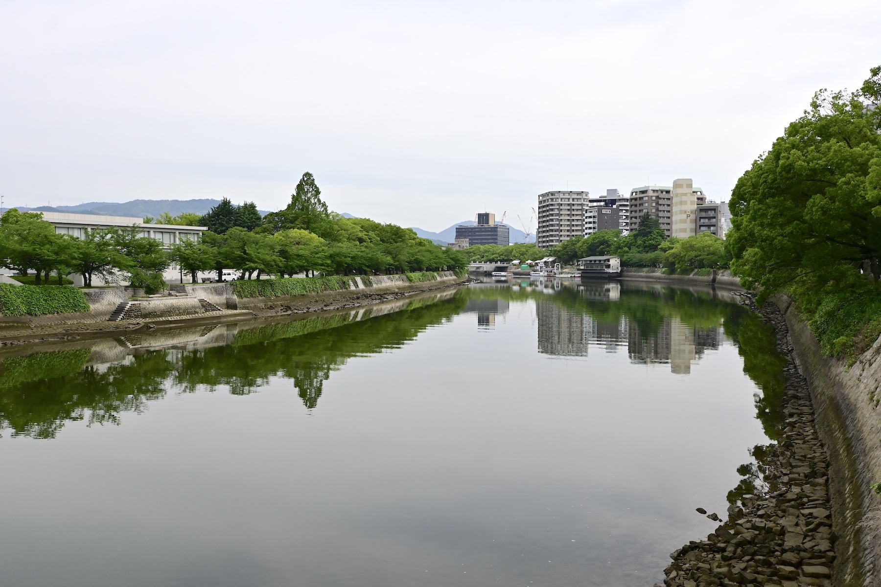 Oota river branch @f5.6 Z50