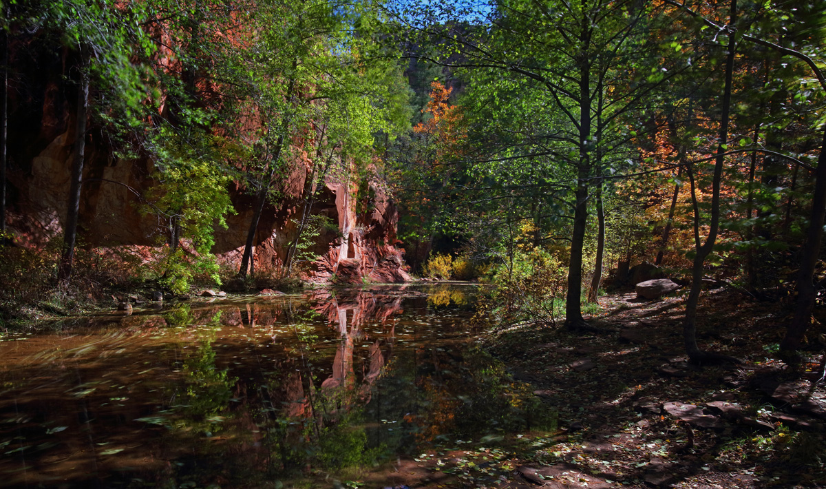 Oak Creek Afternoon