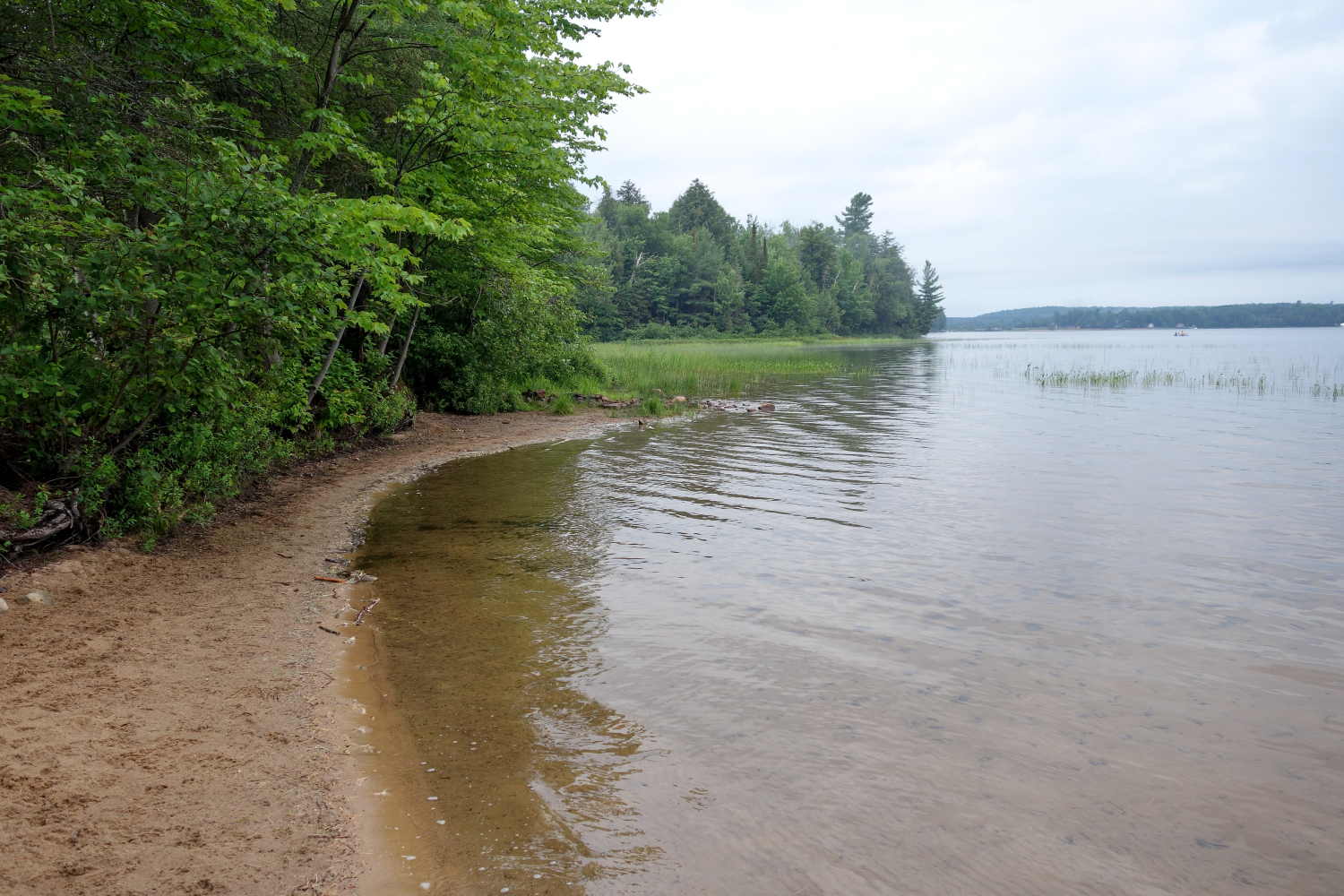 Mikisew July 2020_04.JPG