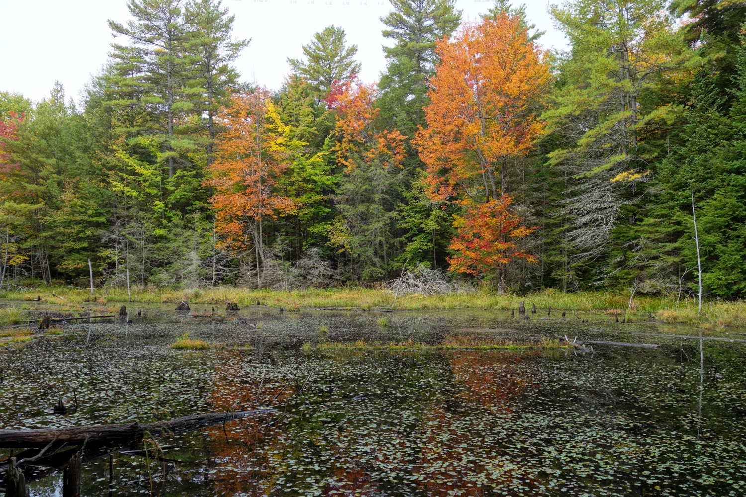 Silent Lake Sept 2020_18.JPG