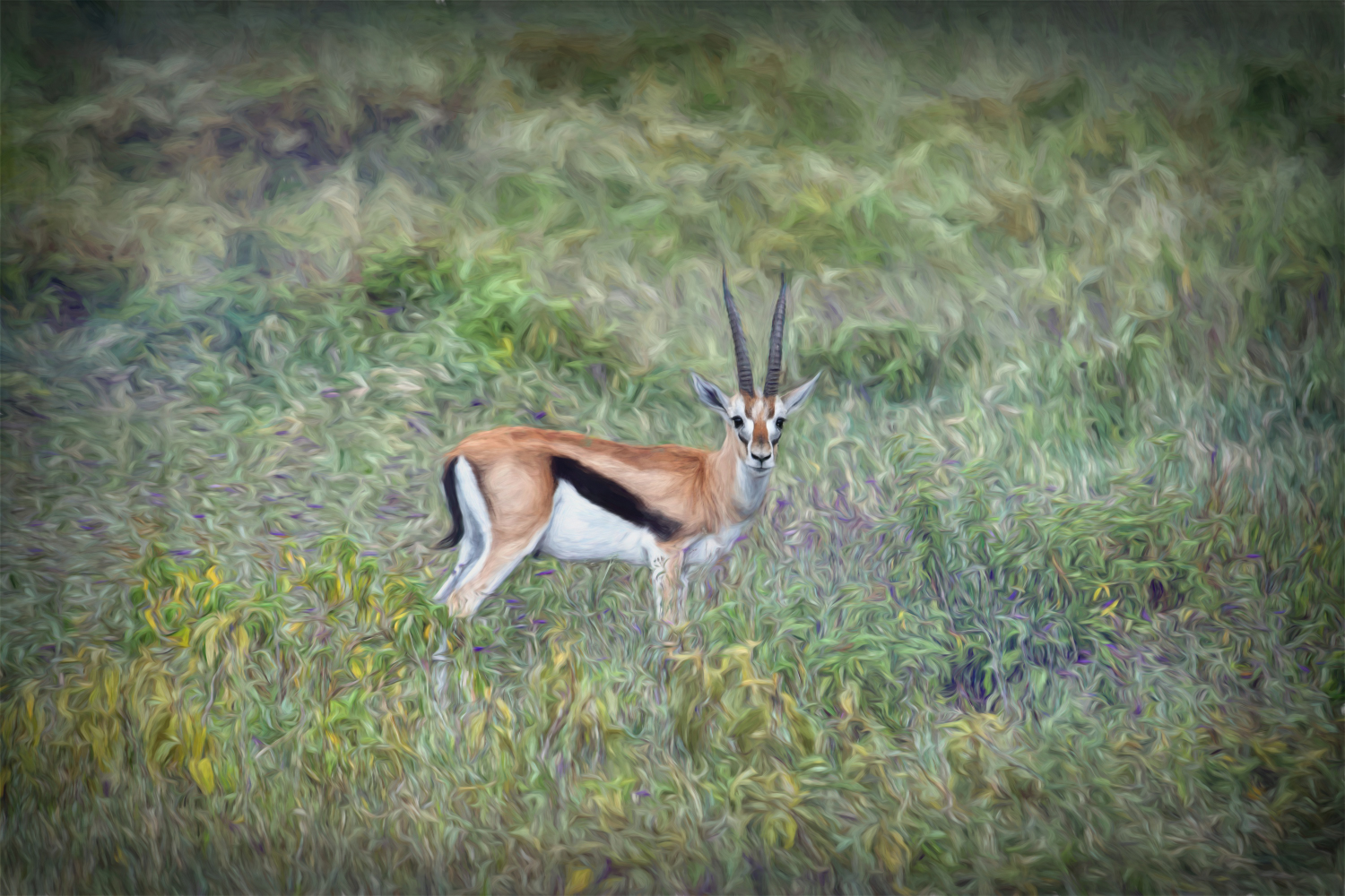 Lake Nakuru Painted_11.JPG