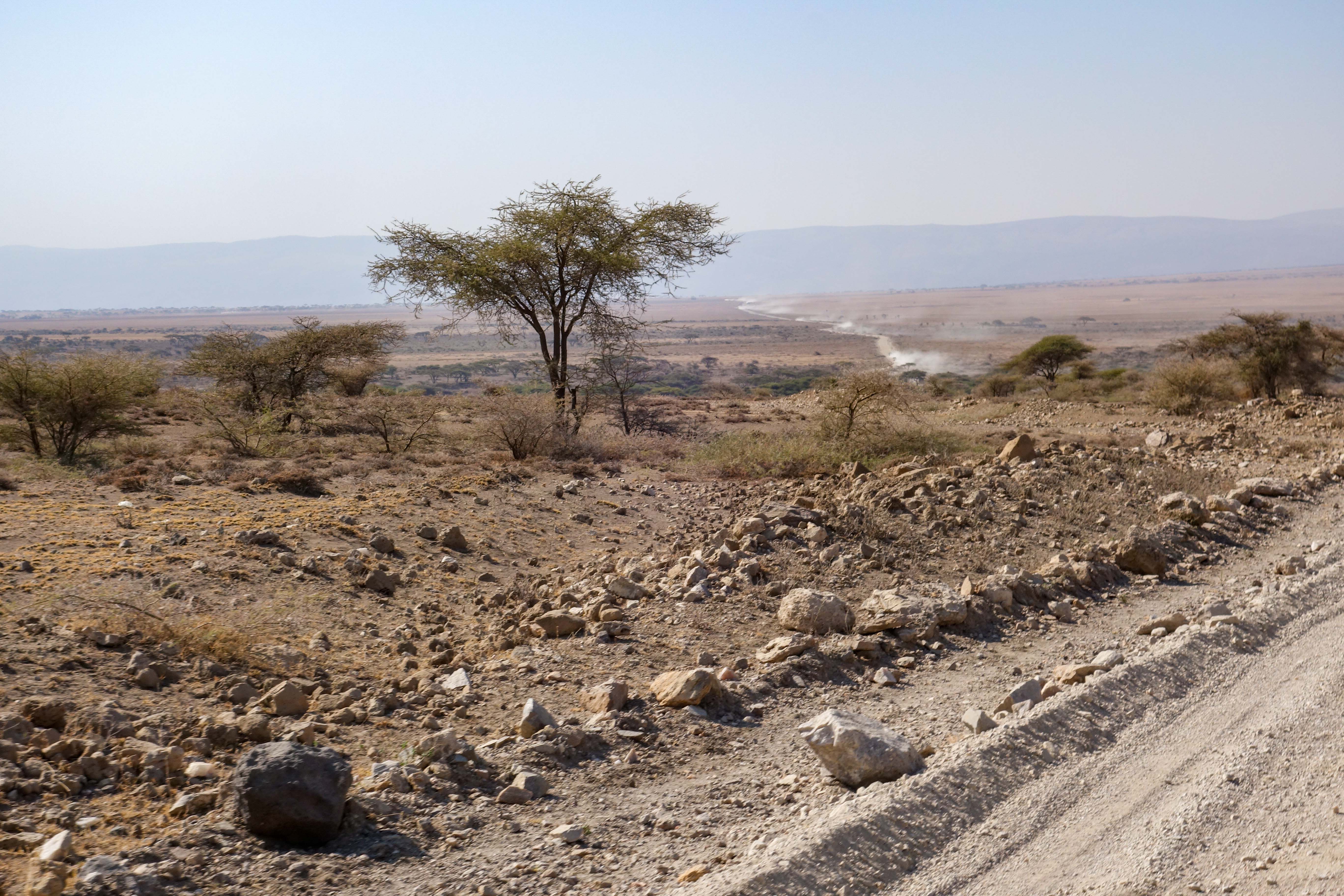 Ngorongoro-42.jpg