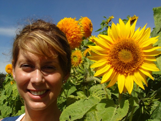 Sunflower, Beautiful Lady