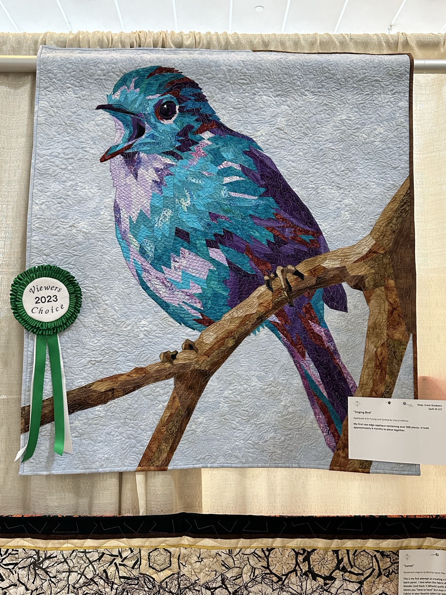 Quilt 217 Viewers Choice Day 1!!!  Details in Caption