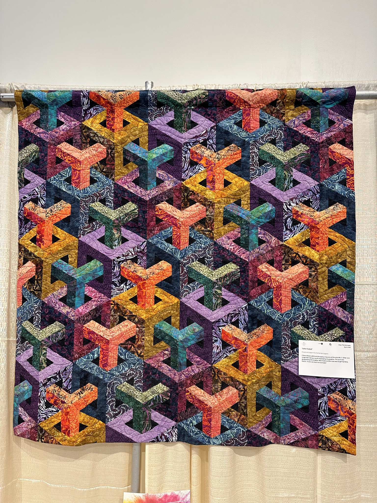 Quilt 40 by Pat Cosgrove - Esher Cubed