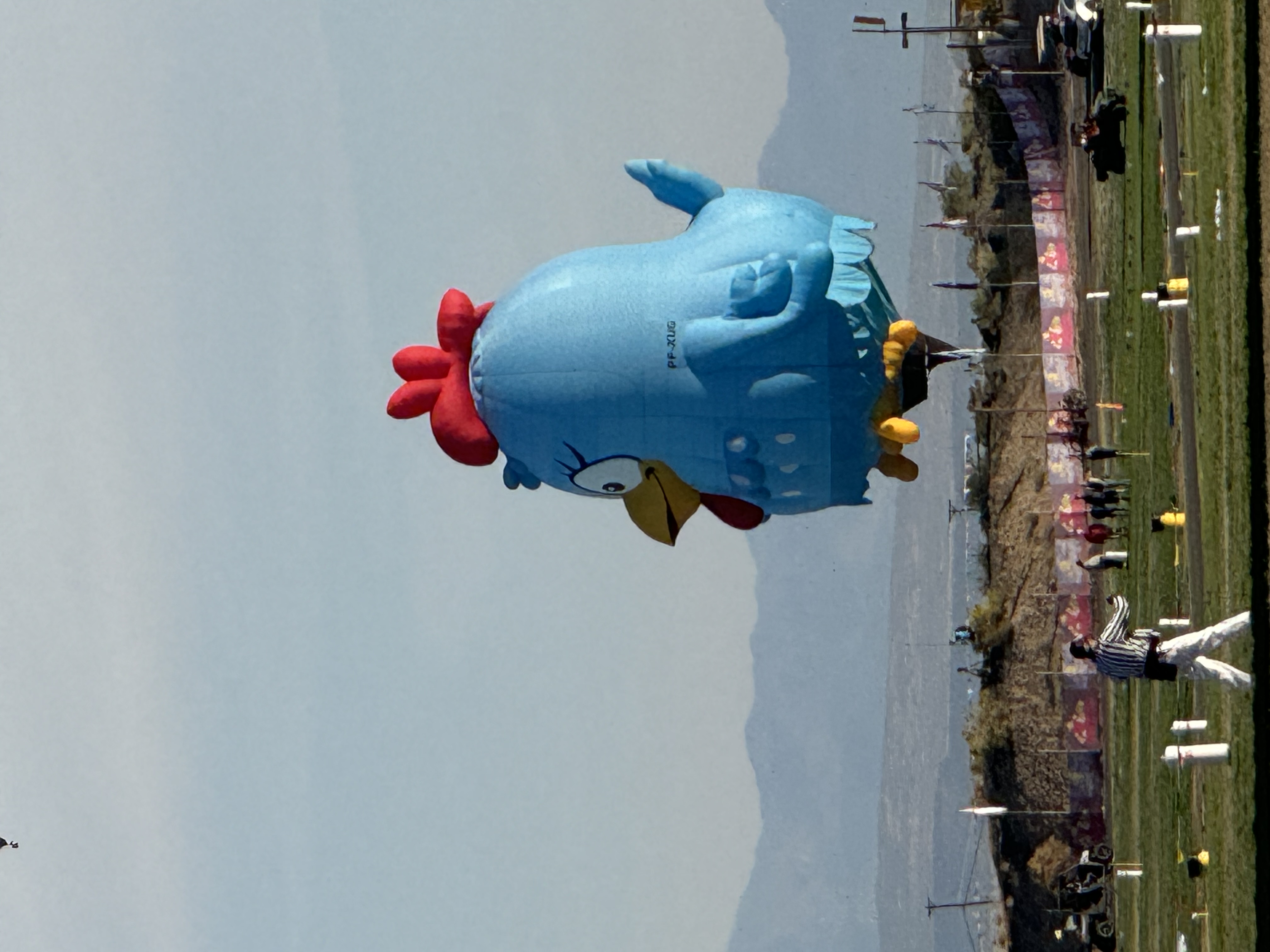 IMG_3867.jpeg