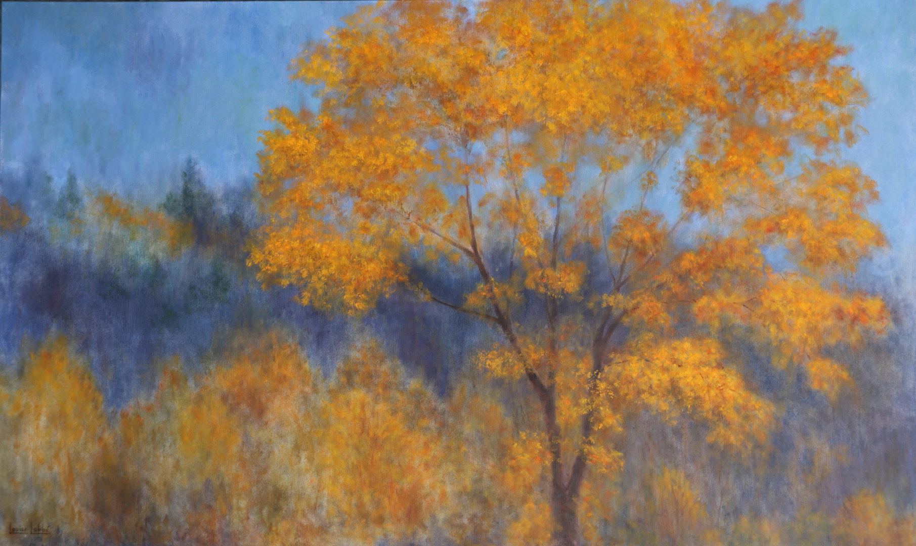  Automne flamboyant  36 x 60 po. - 91 x 152 cm