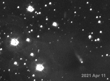 Gyulbudhagian's Nebula, 2021 Apr-Jun: 42-inch