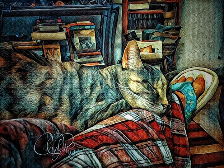 Gracie