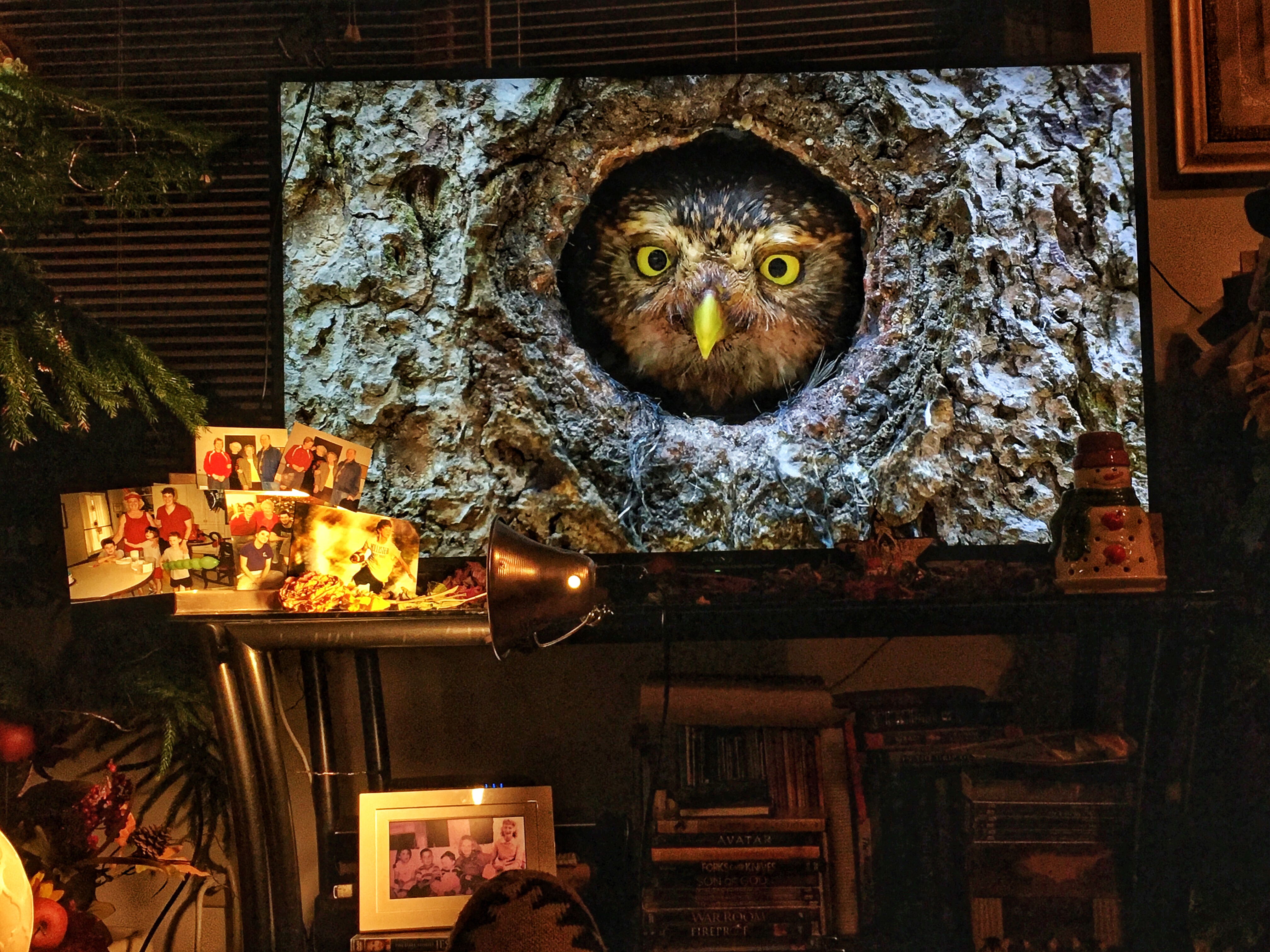 Watching a lot of TV