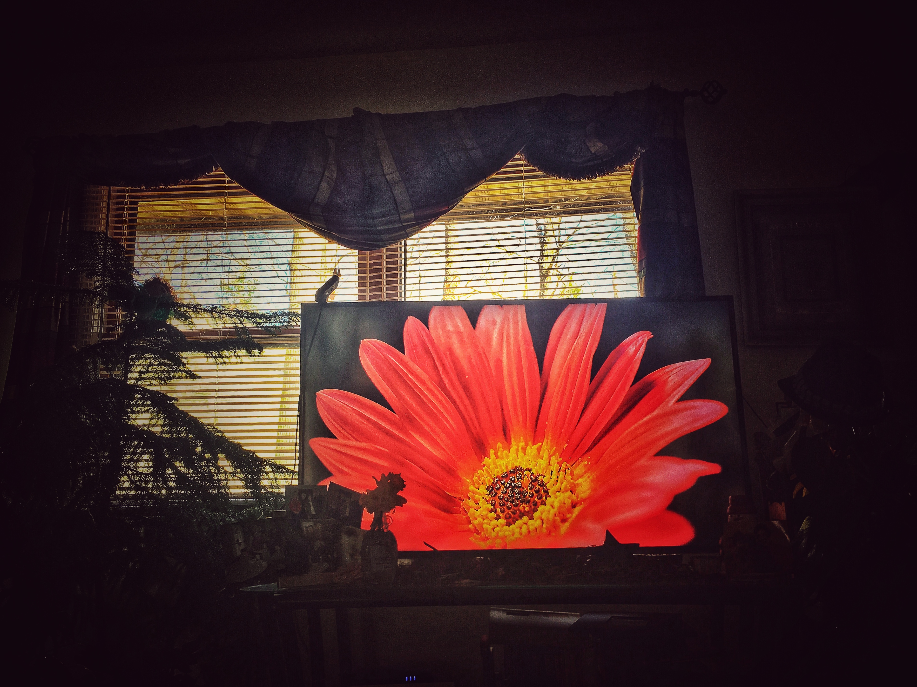Spring has Sprung
