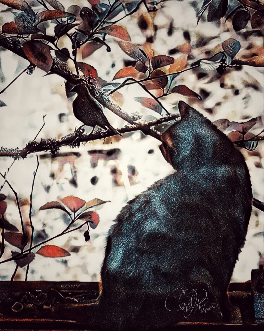 If You Want to Be a Bird, by Holy Modal Rounders